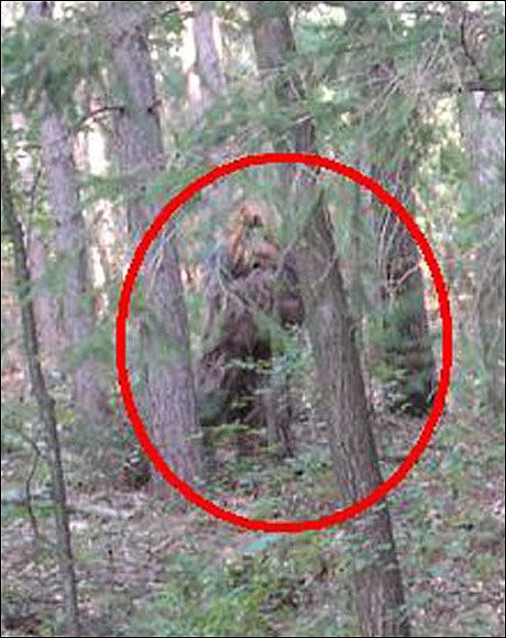 b43dfa9a05271646803915a3bc111433